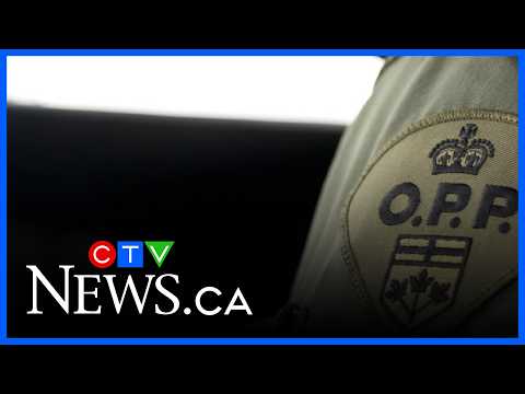 Dog shot, killed in Thessalon First Nation: OPP