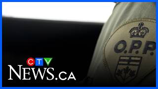 OPP investigate animal cruelty complaint after dog shot near Thessalon