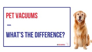 Pet Owners' Dilemma: Should You Invest in a Pet Vacuum? by Vacuums R Us 453 views 2 months ago 20 minutes