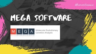 MEGA (Molecular Evolutionary Genetics Analysis) Software screenshot 2