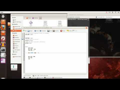 NASM Assembly Language Programming 04 - local variables