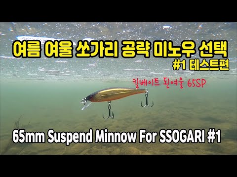 65mm Suspend Minnow For SSOGARI #1