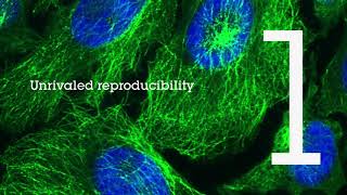 Recombinant antibodies - infinitely better