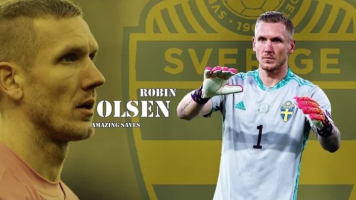 Robin Olsen  Amazing Saves in National Team | HD