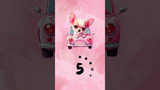 10 seconds timer Valentines Dogs #shorts