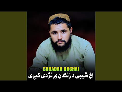 زما په زړه کی یی را ويښ ظالم دردونه دی