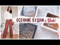 ВАРИМ СВЕЧКИ 💛 ПРИМЕРЯЕМ УЮТНОСТИ ДЛЯ ДОМА И ГУЛЯЕМ ПО ФИКС ПРАЙСУ😍