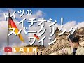 ドイツのイチオシ!スパークリングワイン【毎月届く定期便2月便】
