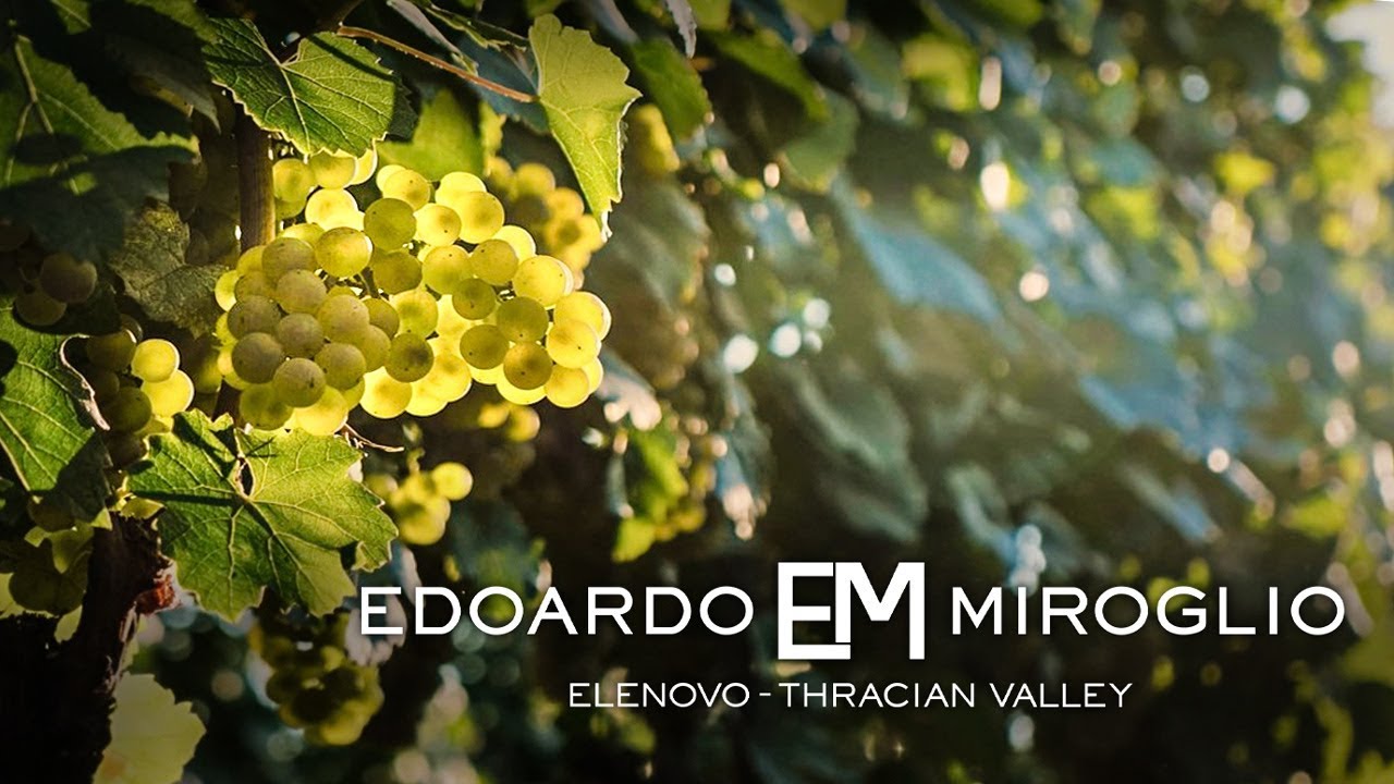 Edoardo Miroglio - WINE