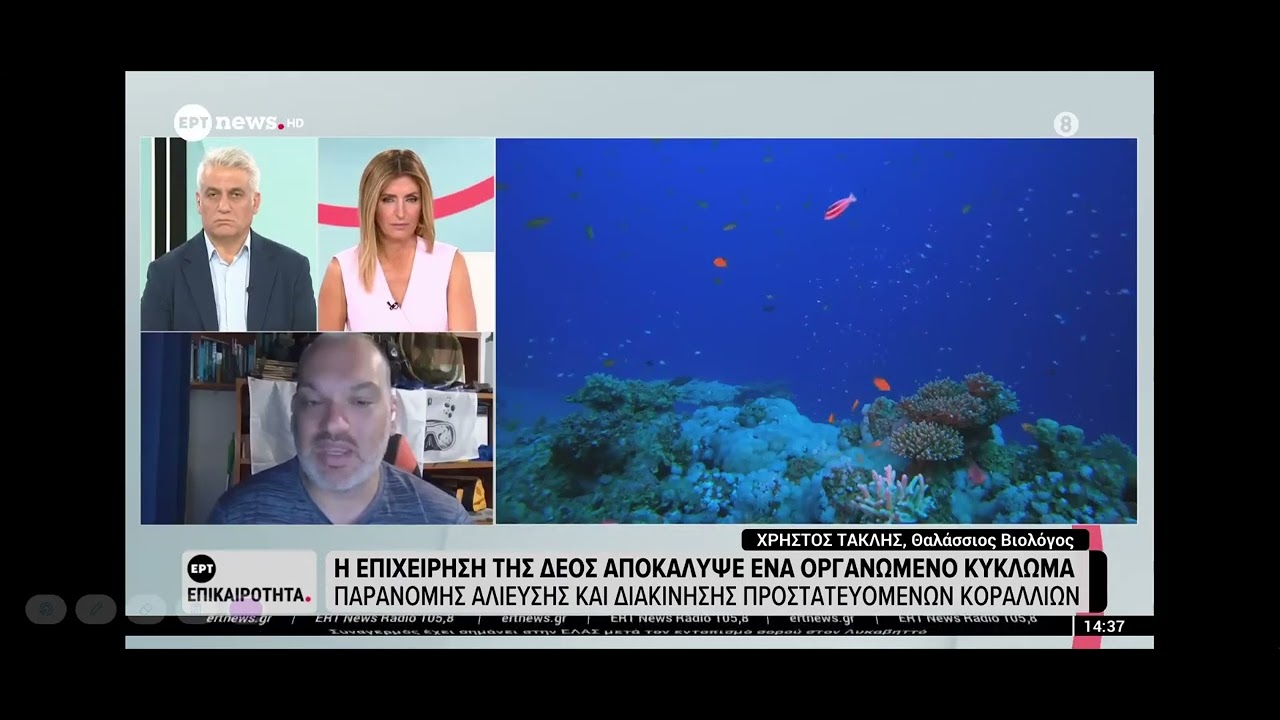 Σχετικά με τη παράνομη αλίευση και διακίνηση προστατευόμενων κοραλλιών | 08.08.2026 | ERT NEWS | ERT