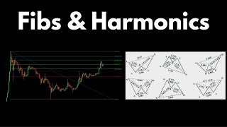 Better Know An Indicator: Fibonacci and Harmonic Patterns