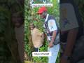 azaman don die no 2 money . say no to cultism #trend #youtubeshorts #youtube