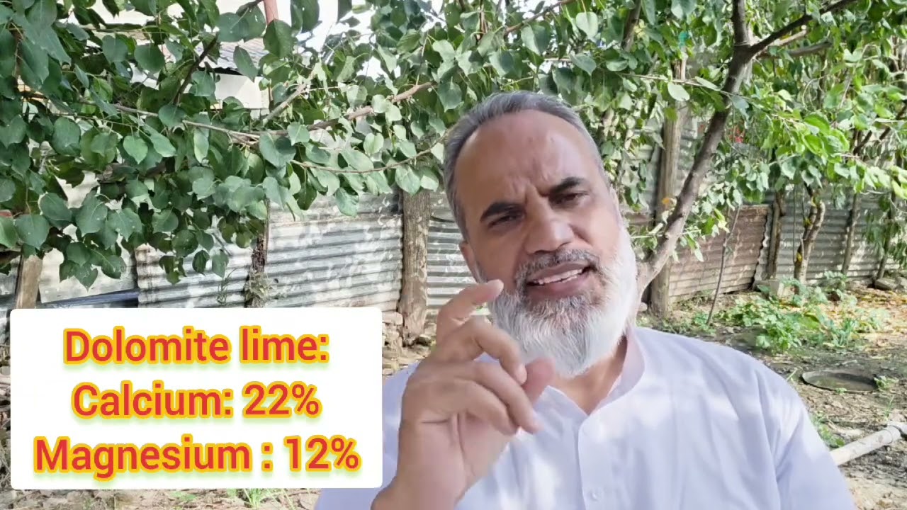 🔥 Apple Growers Must Watch! Right Way to Use Dolomitic Lime & Manure in Orchards