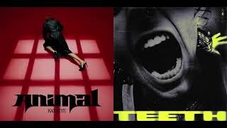 Animal & Teeth [Katseye & 5Sos Mashup]