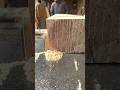 Wood cutting skills🌴🌴#woodscraft #woodworking #Lumberjack #sawdust #viralyoutubeshorts #shorts 