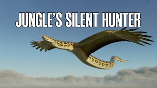 I Found a Giant Python in My Backyard Profile