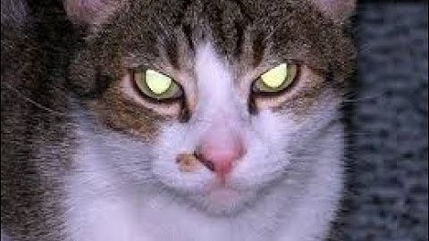 🔺Groove Funnels Review Training👉|Free Video Leads Generating System For Tim Verdouw Groove Funnels🔴