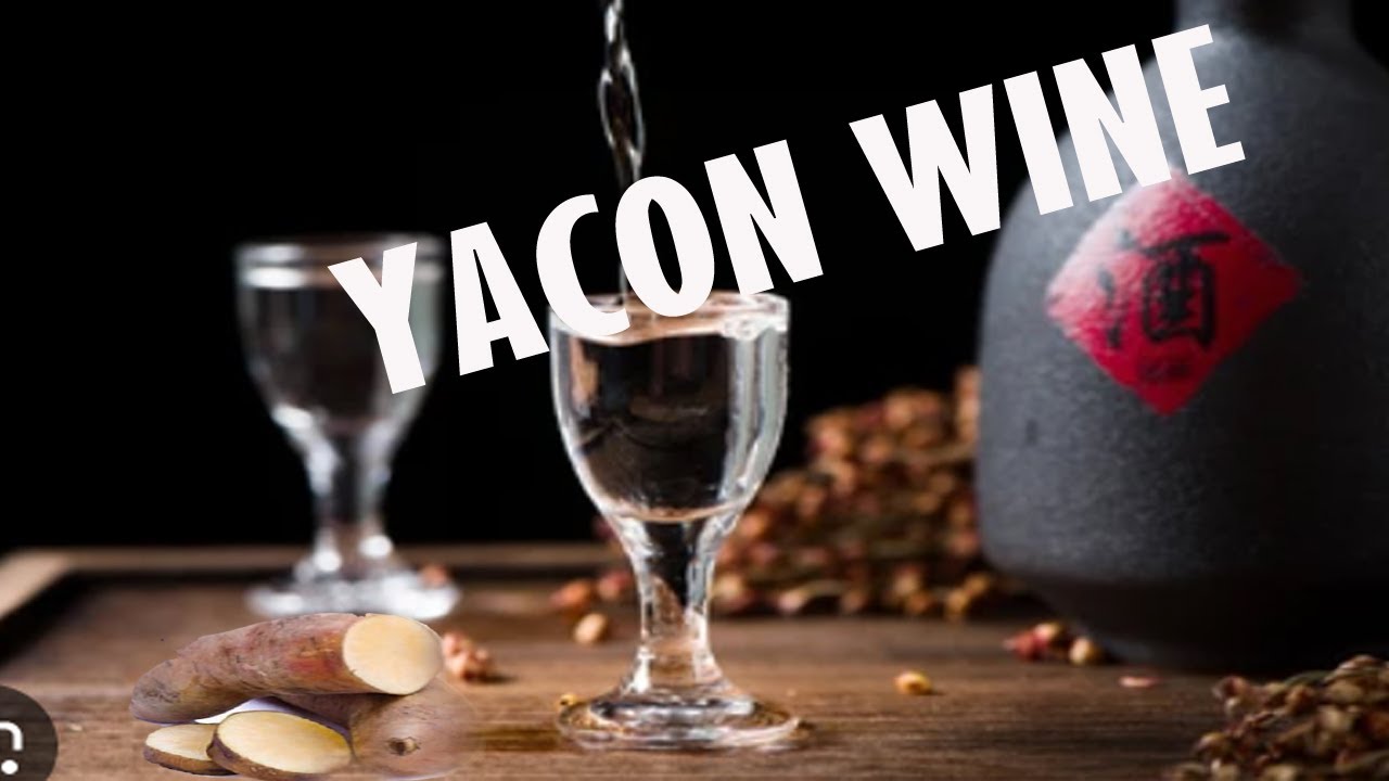 THE WINTER SOLSTICE IS MORE SUITABLE FOR YACON WINE, TRADITIONAL YACONE WINE METHOD
