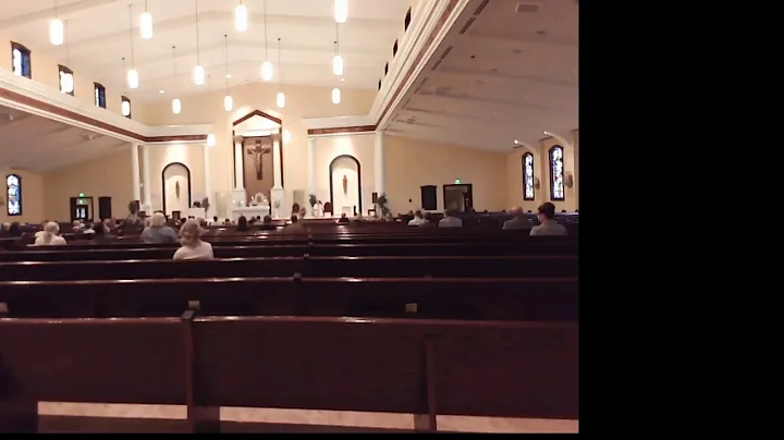 Lisa Waldman Live Stream