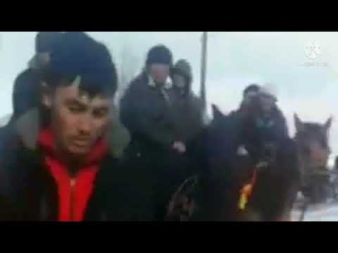 Video: Россиянын чыныгы бутпарастары кантип жашашат жана марийлер ыйык бактарында эмне кылышат