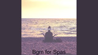 Modish Ambience for Guided Meditations