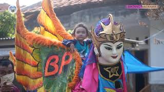 Ula Pucuk - Burok BP 