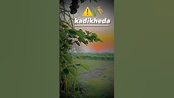 #gamaaale 🌾⚠️#jaat #jaatland #jaatmind #jaatstatus #tubewell #jaatsong #jatt #desi #desijatt