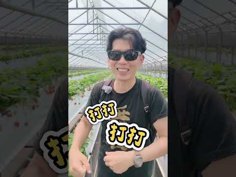 有人打我，我可以回擊嗎？會變互毆？#正當防衛 #打架【陽光暖男 蘇家宏律師】 縮圖