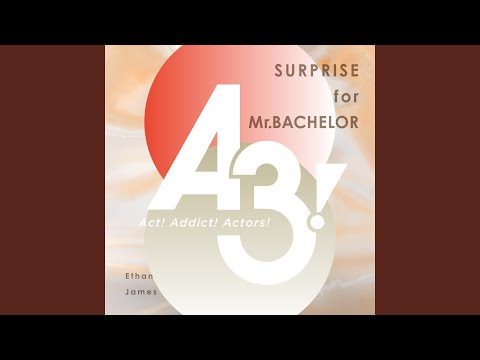 SURPRISE for Mr.BACHELOR