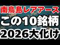 【南鳥島レアアース】テンバガーを狙うなら、この10銘柄を2026年1月11日までに仕込め
