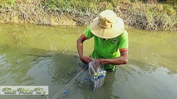 GIĂNG LƯỚI BẮT CÁ Về Nấu Bữa Cơm Chiều • Toàn Miền Tây 80