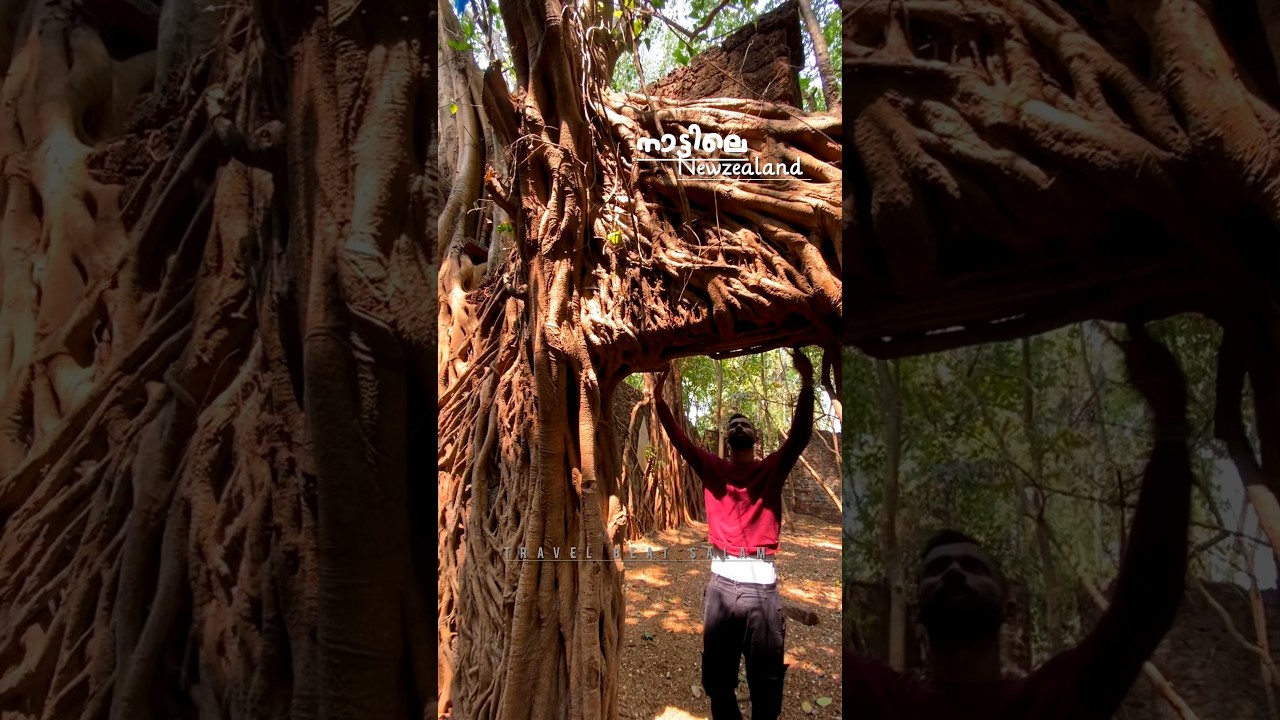 Best places of gudalur 😍 