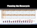 How to Plan a Periodized Mesocycle for Athletes on Excel | Programming