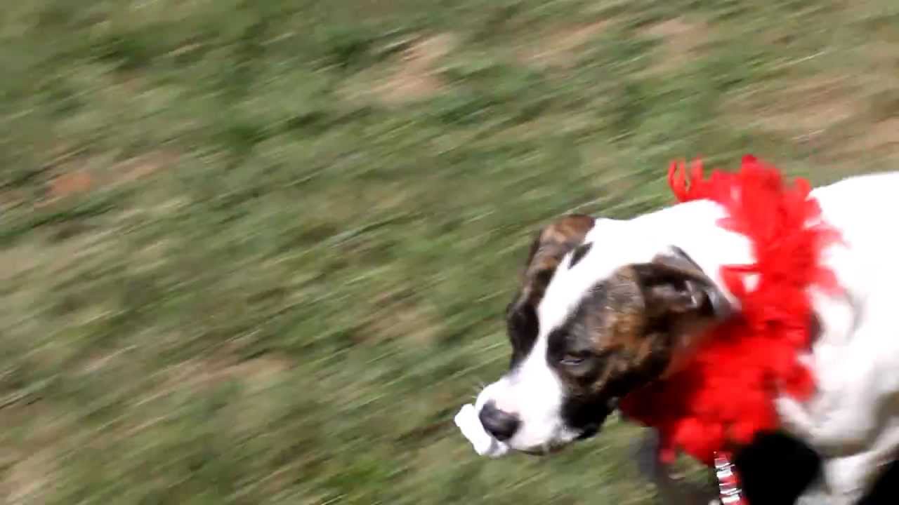 Classy Sassy @ DCAC. Rainbow Connections2012 on Facebook