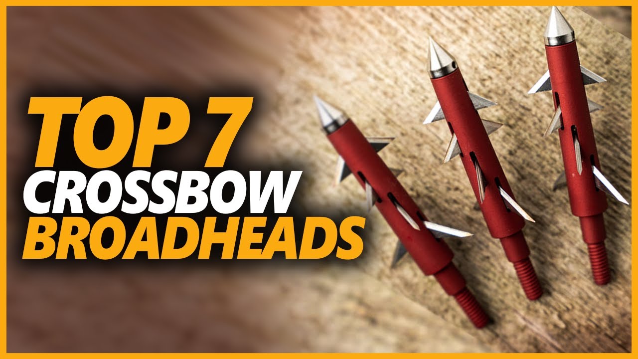 Best Crossbow Broadhead For Sharpest Shoot Top 7 Broadheads That Will