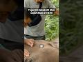 23 Gajah di TN Tesso Nilo Mati, Ini Penyebabnya