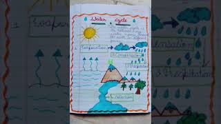 The water cycle for kids | learn all about the water cycle. How are rain droplets formed #shorts