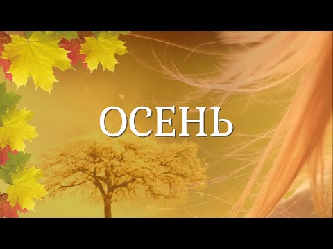 Осень. Осенняя зарисовка. Осеннее настроение