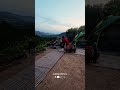 شاهد جانب من سحر التخييم في ربيع عجلون