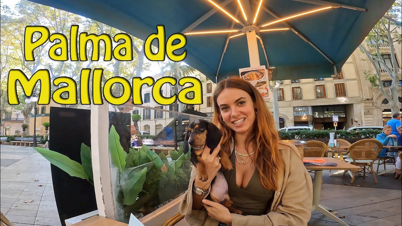 Understanding Palma de Mallorca: 4K bird's view video of the beautiful Palma de Mallorca, Spain