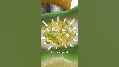 Would You Drink Cockroach Milk? 🤔