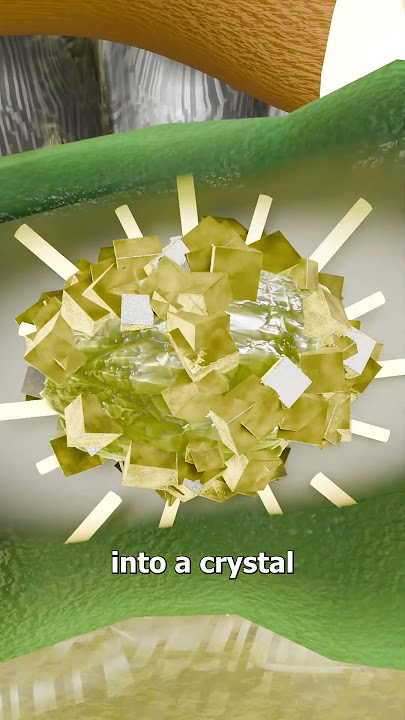 Would You Drink Cockroach Milk? 🤔