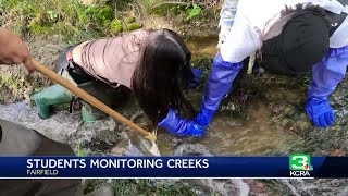 Solano County high school students wade into local creeks for hand-on watershed science lessons