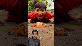 grasshopper * insect * shell * snail the fish#fish #outdoors #funny #trending