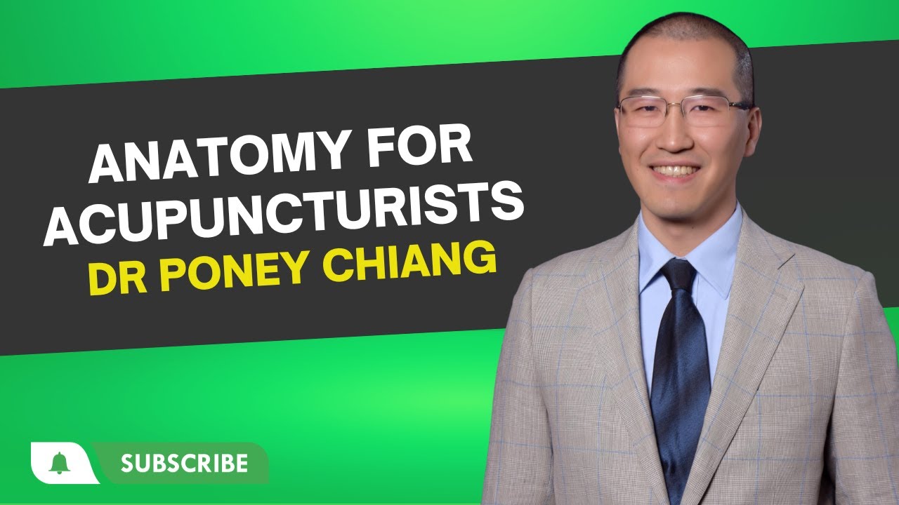 Unlock Acupuncture's Potential: Learning Anatomy in Neuro-Meridian ...