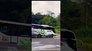 Kids Panda Baik Rasa Basuri Kuda Lumping 12 Not