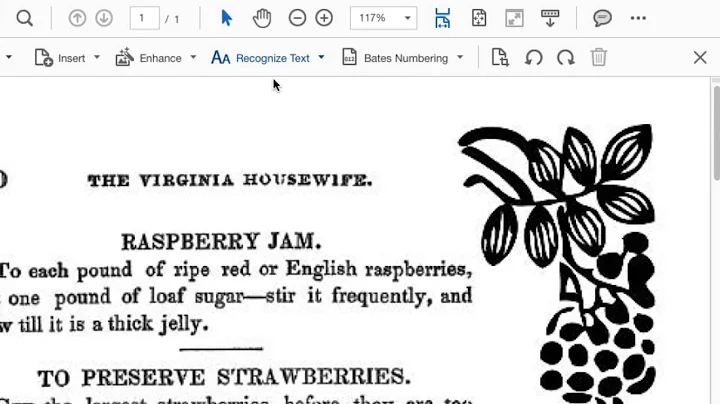 Acrobat DC: Understanding Scan Output Choices