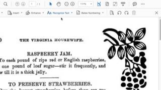 Acrobat Dc Understanding Scan Output Choices