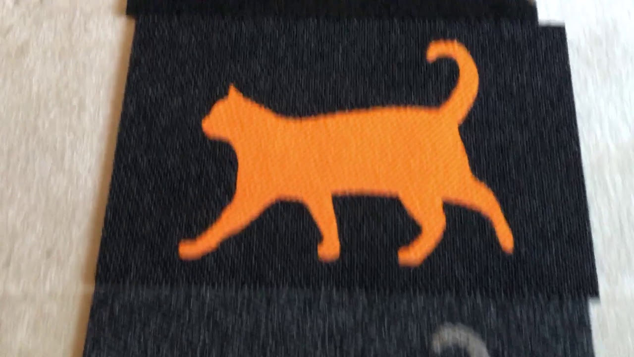 Who let the cats out?