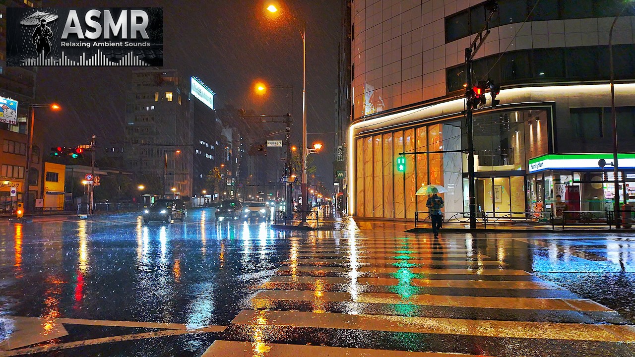 [ASMR] Rainy Night Tokyo Shinjuku City Relaxing Alley Walk | Japan 4K HDR